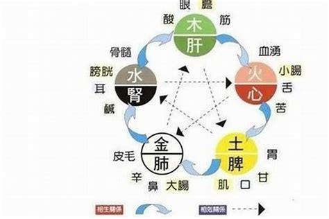 五行 補水|生辰八字中五行缺水的人有什么补救办法？